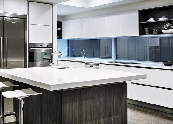 NS / AS Luxury Modern Villa Prefab Homes Light Steel Frame Structure