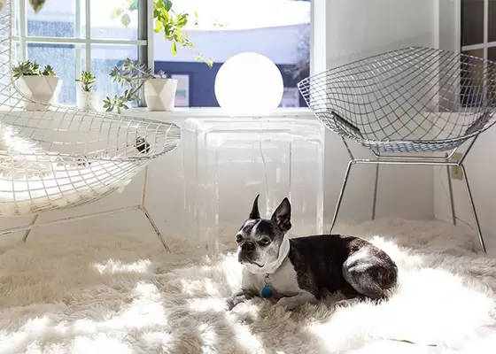 Cold Formed Steel Frame Prefab Villa Light Gauge Steel Modern Building For Living